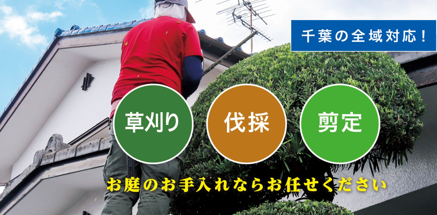 千葉市で草刈り・剪定・伐採なら「お庭の大将」