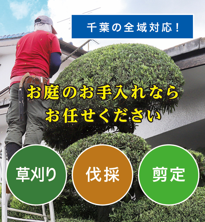 酒々井町で草刈り・剪定・伐採なら「お庭の大将」 酒々井町で草刈り・剪定・伐採なら「お庭の大将」